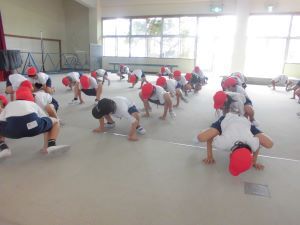 11.jpg