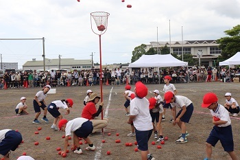 IMG_7538.JPG