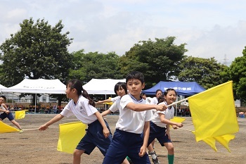IMG_7589.JPG