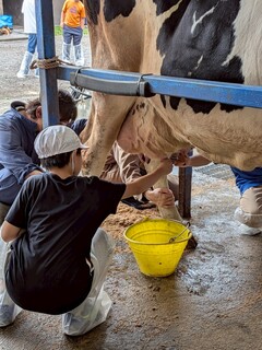 0625-B14.jpg